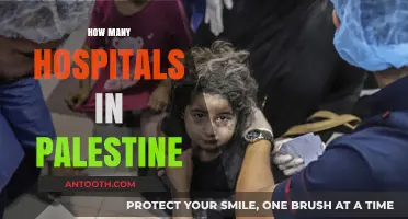 Exploring Palestine's Healthcare: A Comprehensive Count of Hospitals