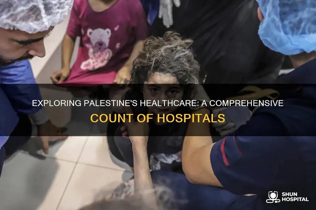 how many hospitals in palestine