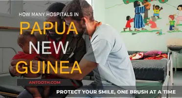 Healthcare Access: Papua New Guinea's Hospital Count