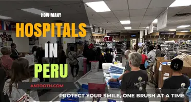 Exploring Peru's Healthcare: How Many Hospitals Serve the Nation?