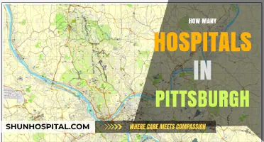 Exploring Pittsburgh's Healthcare: A Comprehensive Guide to Local Hospitals