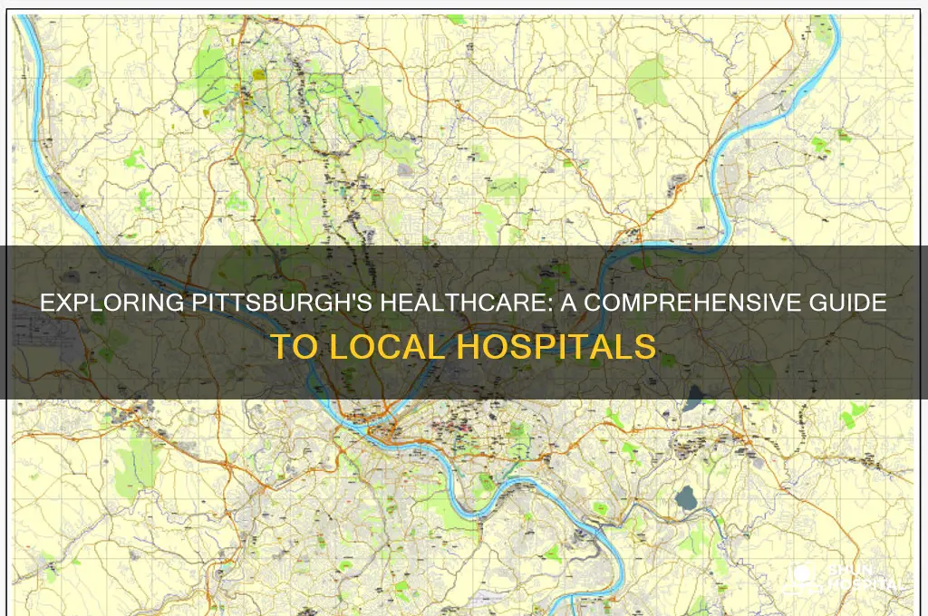 how many hospitals in pittsburgh