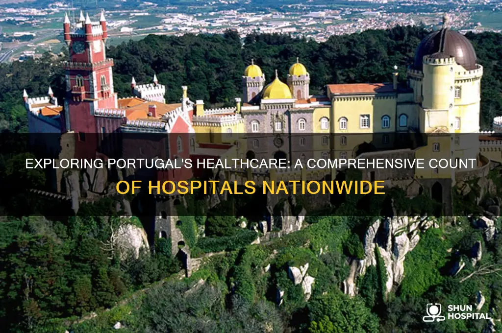how many hospitals in portugal