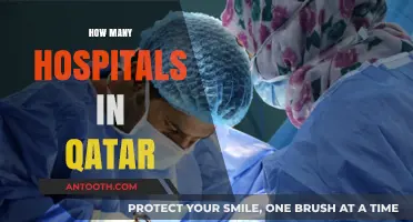 Exploring Qatar's Healthcare Infrastructure: Total Number of Hospitals Revealed