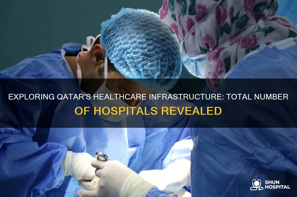 how many hospitals in qatar