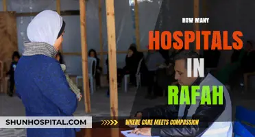 Rafah's Healthcare Infrastructure: Exploring the Number of Hospitals in the City