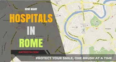 Exploring Rome's Healthcare: A Comprehensive Guide to Its Hospitals