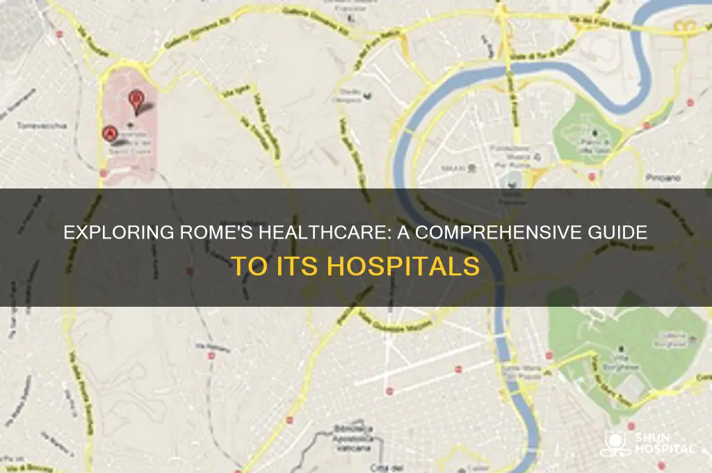 how many hospitals in rome
