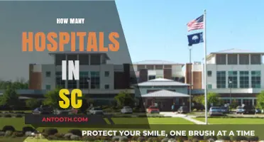 Exploring South Carolina's Healthcare: How Many Hospitals Are There?