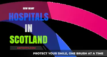 Exploring Scotland's Healthcare: A Comprehensive Look at Hospital Numbers