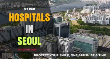 Exploring Seoul's Healthcare: A Comprehensive Guide to Its Hospitals