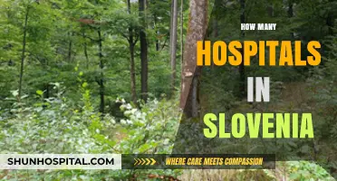 Exploring Slovenia's Healthcare: A Comprehensive Count of Its Hospitals