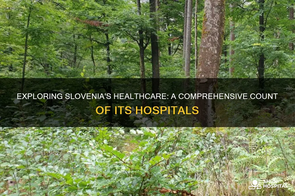 how many hospitals in slovenia