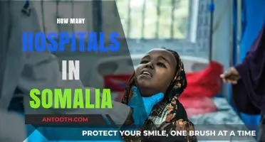 Exploring Somalia's Healthcare Infrastructure: Counting Hospitals Across the Nation