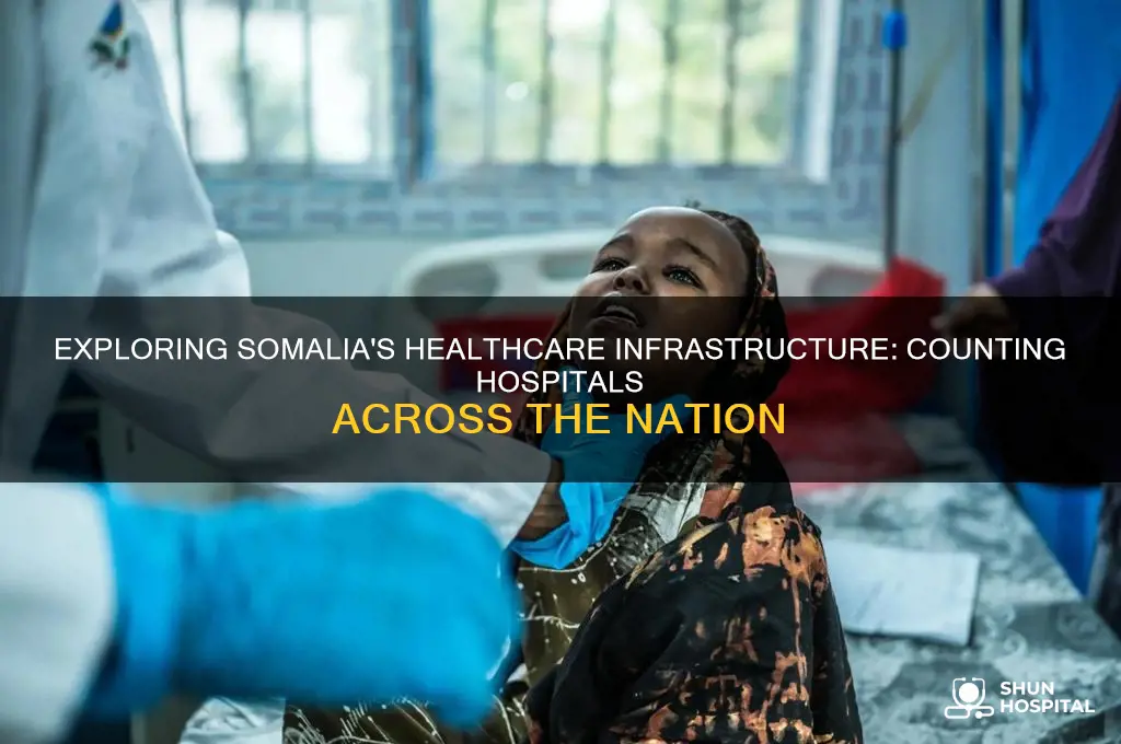 how many hospitals in somalia