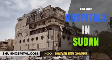 Exploring Sudan's Healthcare Infrastructure: Total Number of Hospitals Revealed
