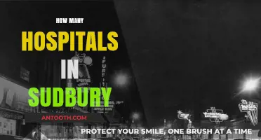 Exploring Sudbury's Healthcare: How Many Hospitals Serve the Community?