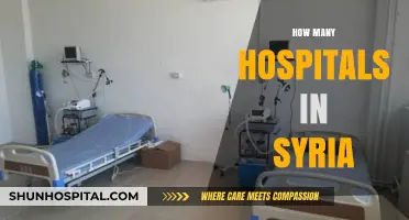 Exploring Syria's Healthcare Infrastructure: Counting Hospitals Amidst Challenges