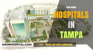Exploring Tampa's Healthcare Landscape: A Guide to Local Hospitals
