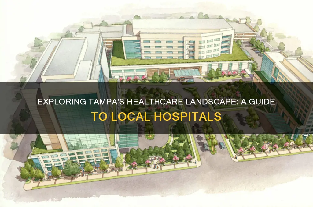 how many hospitals in tampa