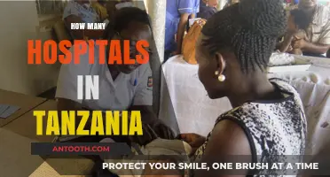 Exploring Tanzania's Healthcare: How Many Hospitals Serve the Nation?