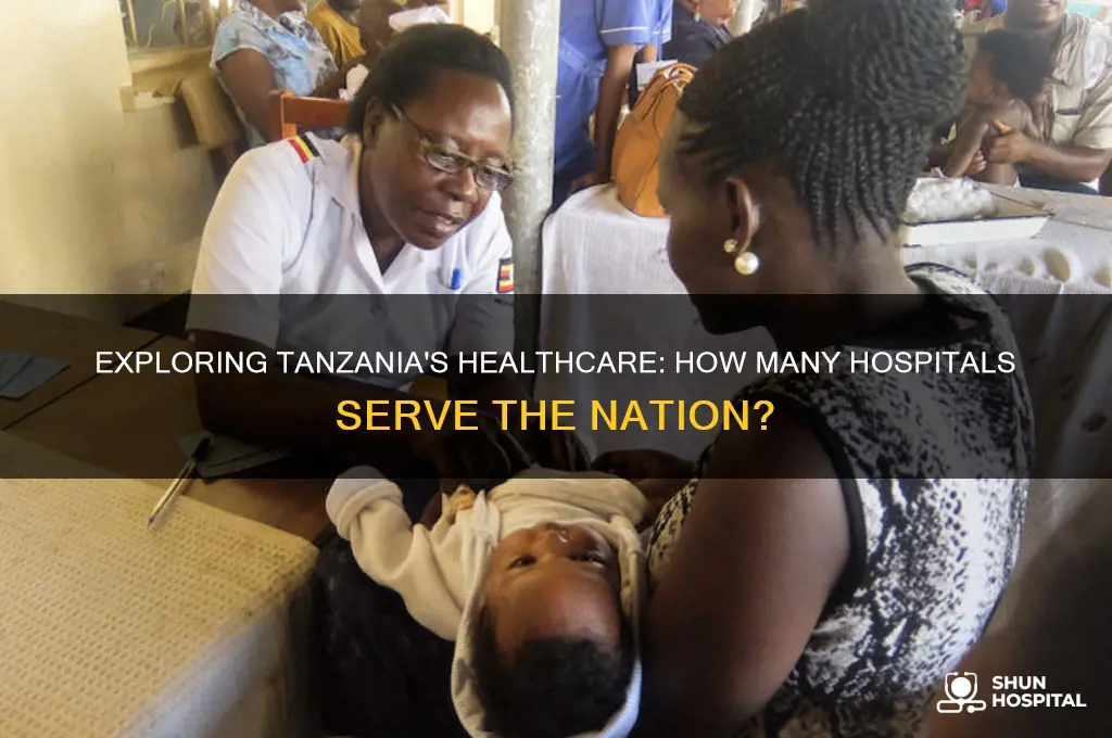 how many hospitals in tanzania