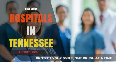 Exploring Tennessee's Healthcare: A Comprehensive Count of Hospitals