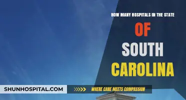 Exploring South Carolina's Healthcare: Total Hospitals in the State