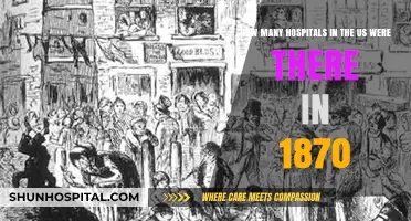 Exploring the Number of Hospitals in the US in 1870