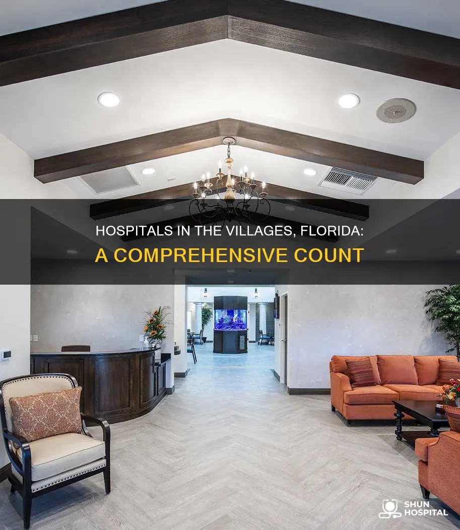 how many hospitals in the villages florida