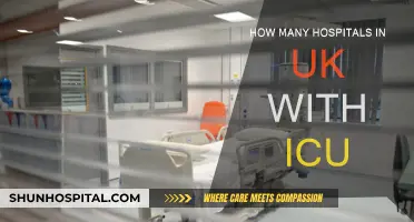 UK Hospitals: How Many Have Intensive Care Units?