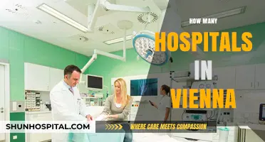 Exploring Vienna's Healthcare: A Comprehensive Guide to Its Hospitals