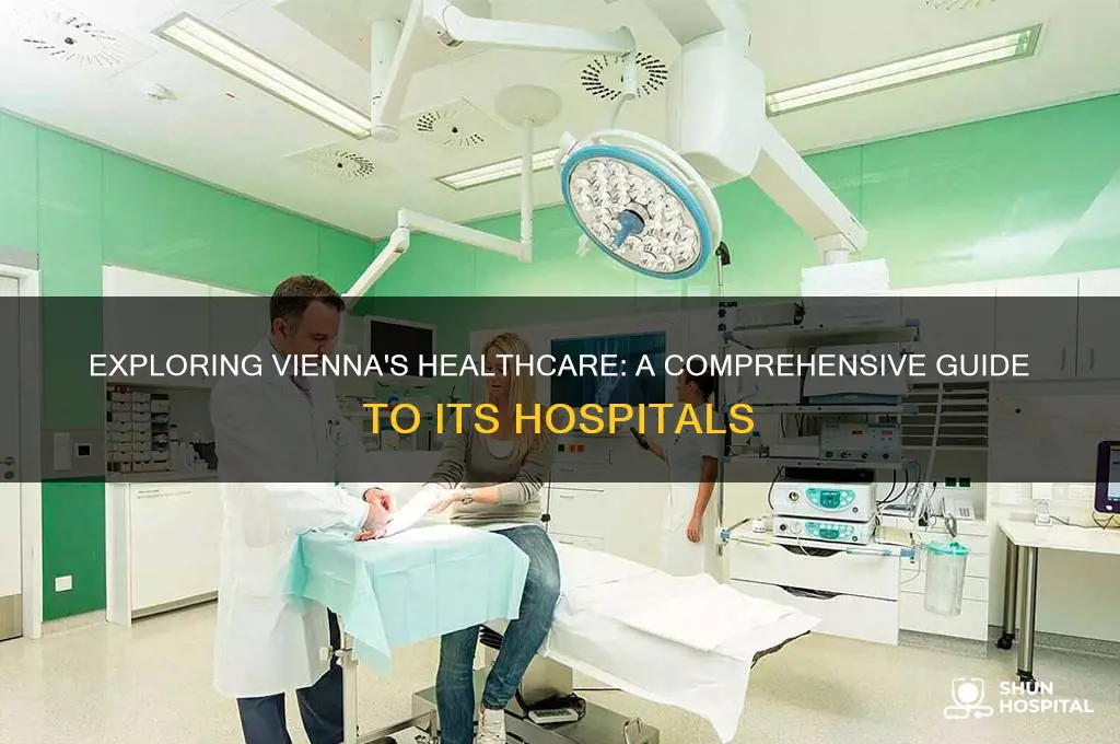how many hospitals in vienna