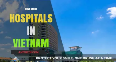 Exploring Vietnam's Healthcare: A Comprehensive Look at Hospital Numbers