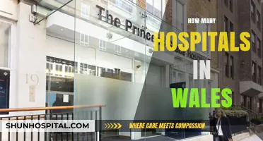 Exploring Wales' Healthcare: A Comprehensive Look at Hospital Numbers