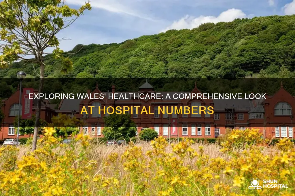 how many hospitals in wales