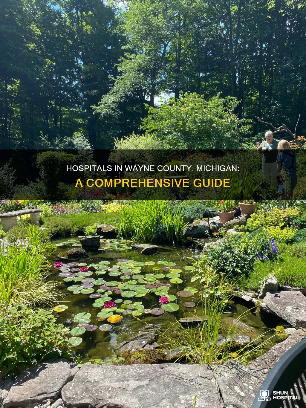 how many hospitals in wayne county michigan
