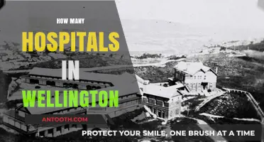 Exploring Wellington's Healthcare: A Comprehensive Guide to Local Hospitals
