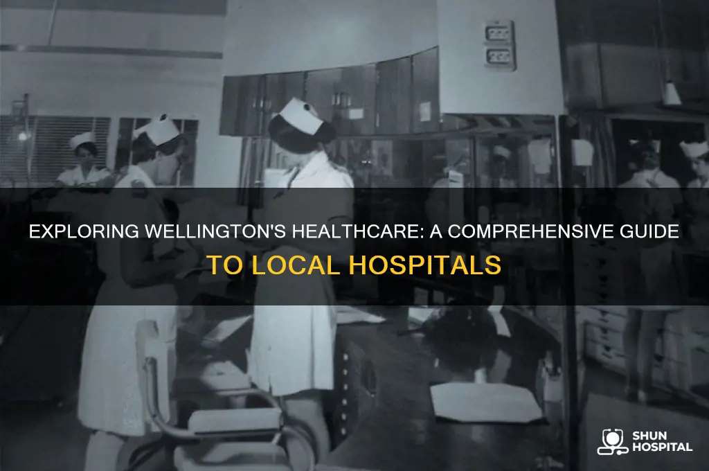 how many hospitals in wellington