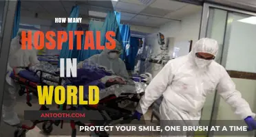 Global Healthcare Infrastructure: Counting Hospitals Worldwide and Their Impact