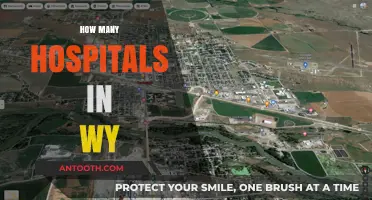 Exploring Wyoming's Healthcare: How Many Hospitals Serve the State?