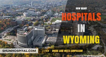 Exploring Wyoming's Healthcare: A Comprehensive Look at Hospital Count