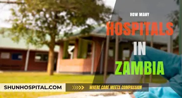 Exploring Zambia's Healthcare Infrastructure: Counting Hospitals Across the Nation