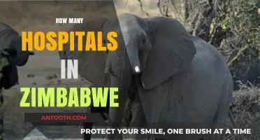 Exploring Zimbabwe's Healthcare: A Comprehensive Look at Hospital Numbers