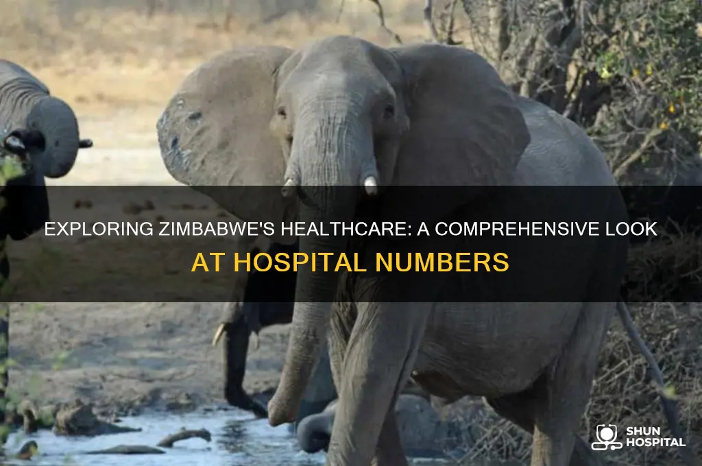 how many hospitals in zimbabwe
