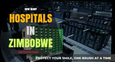 Exploring Zimbabwe's Healthcare: A Comprehensive Count of Hospitals Nationwide