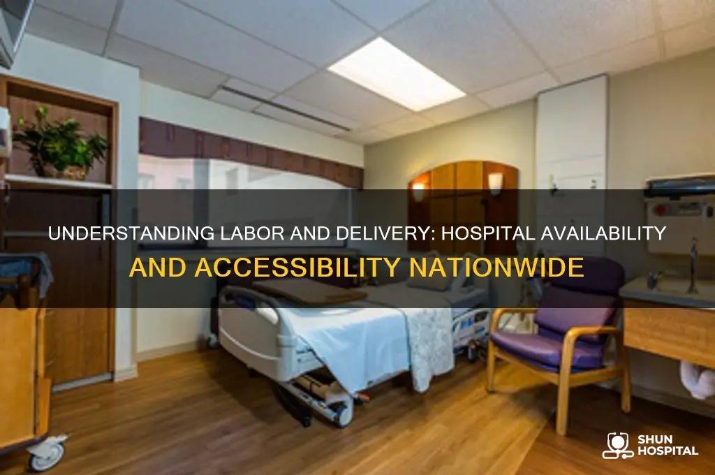 how many hospitals labor delivery
