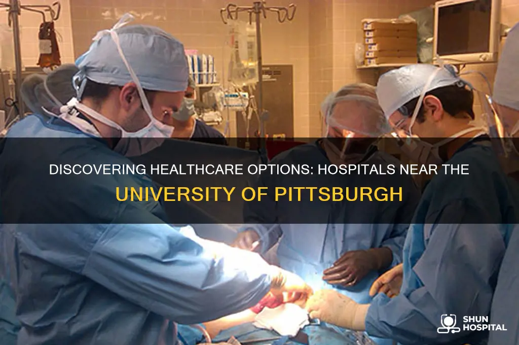 how many hospitals near pitt