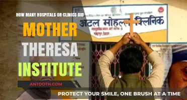 Mother Teresa's Legacy: Counting Her Institutes' Hospitals and Clinics