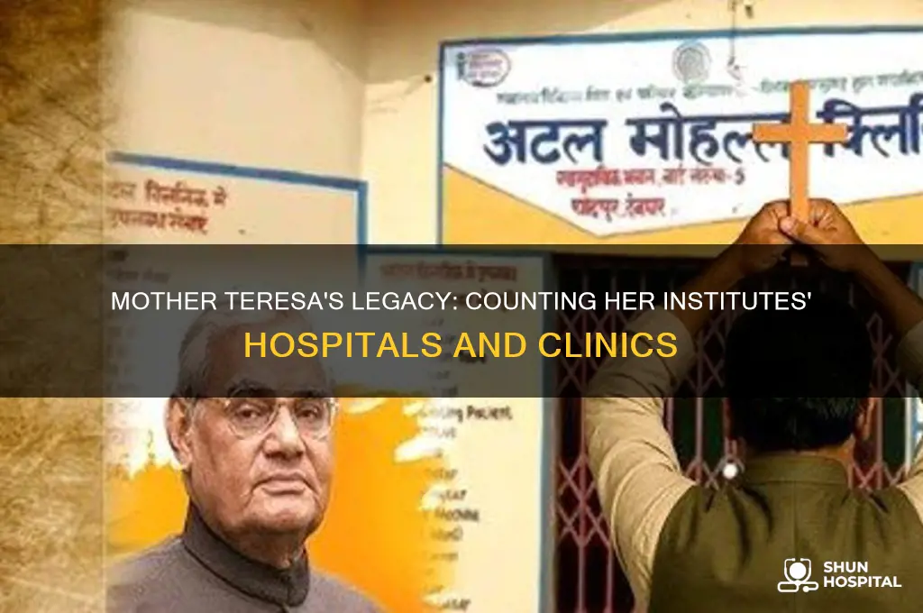 how many hospitals or clinics did mother theresa institute